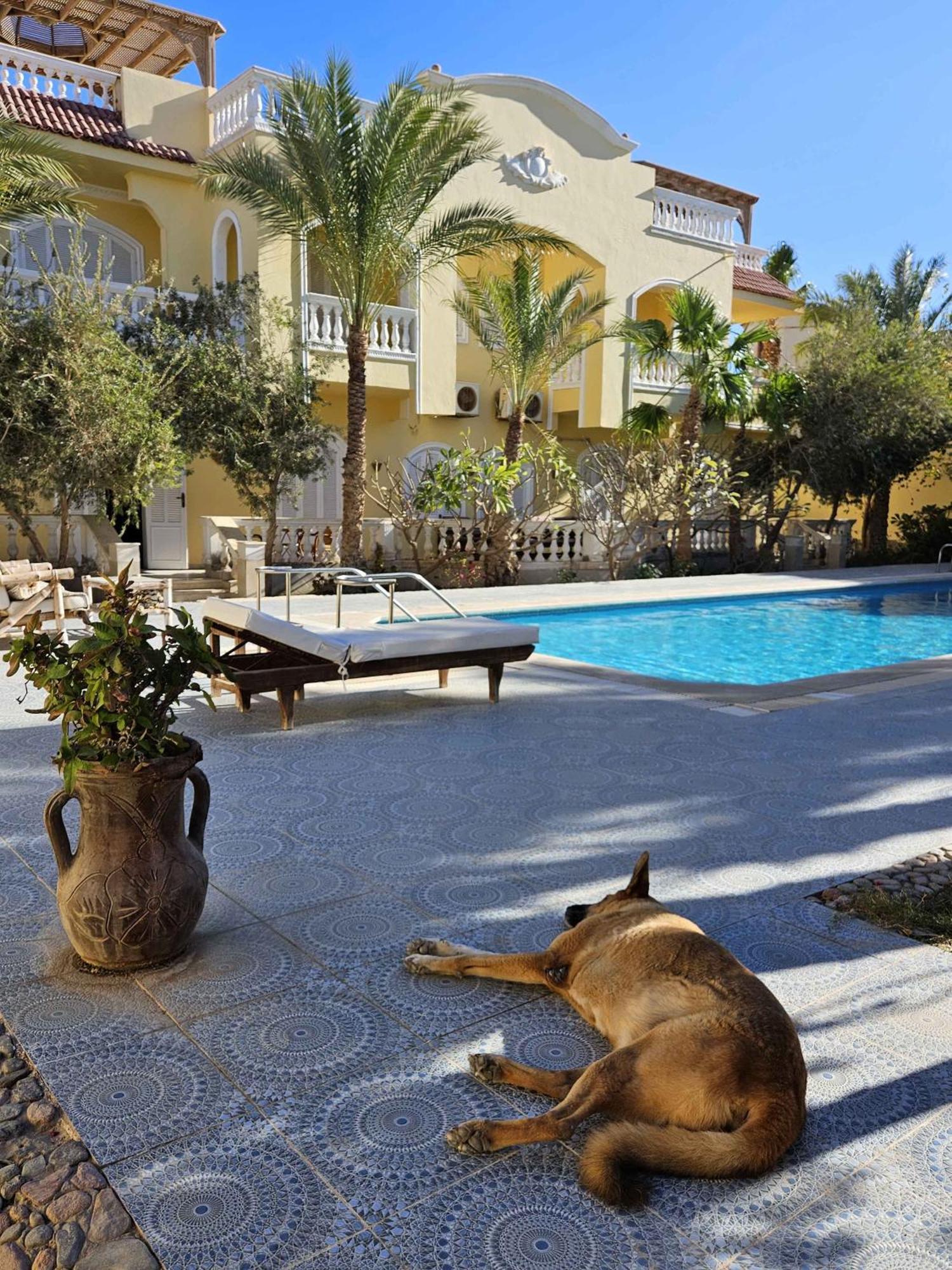 Villa Shahrazad הורגהדה מראה חיצוני תמונה